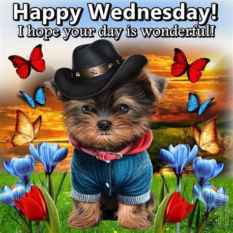 happy wed images